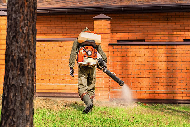 Trusted Termite Control service in Sulphur, LA - Nex Pest Control